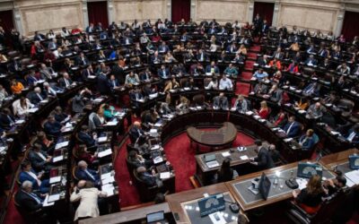 EL CONGRESO ENFRENTA A MILEI; POR REYNALDO SIETECASE