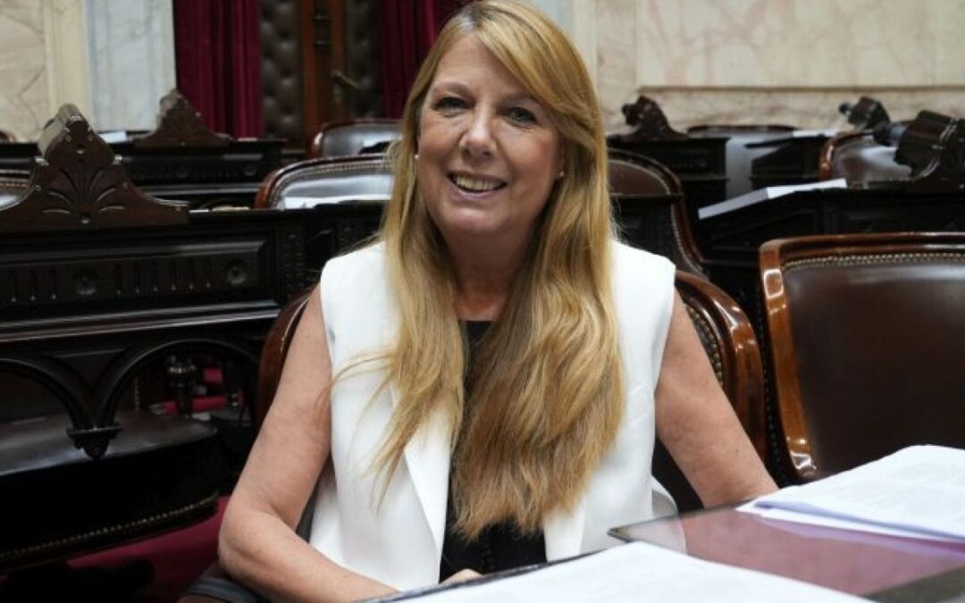 ALEJANDRA TORRES: «EN ATN Y EN COMBUSTIBLES EL PROYECTO FUE CONSTRUIDO POR TODOS LOS GOBERNADORES, TODOS ESTUVIMOS DE ACUERDO»