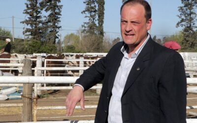 JAVIER ROTONDO: «CON LOS ANUNCIOS DEL SÁBADO, EL GOBIERNO CONVALIDA EL APOYO DE LOS PRODUCTORES HASTA OCTUBRE»