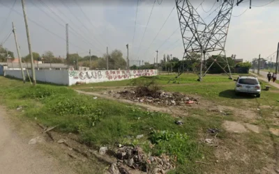 LA RIESGOSA JUGADA DE MILEI EN MORENO; POR CECILIA DI LODOVICO