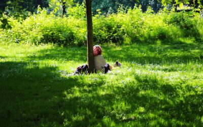 DETENTE Y PIENSA + WAKE ME UP