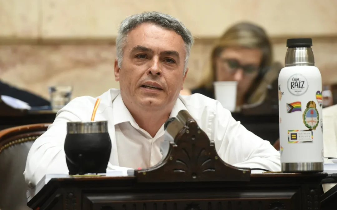 ESTEBAN PAULÓN: «LA REFORMA DE LA LEY DE GLACIARES LESIONA EL VERDADERO FEDERALISMO Y LAS INTENCIONES DE SEGUIR SIENDO UNA NACIÓN»