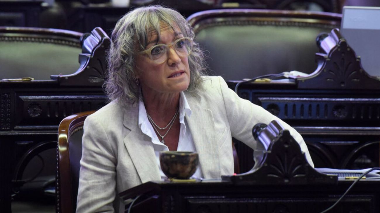 monica-frade-diputada-nacional-por-la-coalicion-civica-1982297