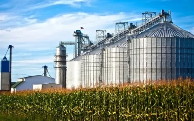 BIOCOMBUSTIBLES: ¿CÓMO ES LA REFORMA CON LA QUE EL GOBIERNO BUSCA ABRIR EL MERCADO?