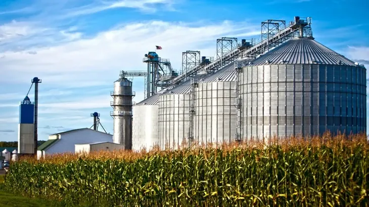 BIOCOMBUSTIBLES: ¿CÓMO ES LA REFORMA CON LA QUE EL GOBIERNO BUSCA ABRIR EL MERCADO?