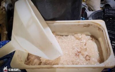 COMIDA PARA PLANTAS: ASÍ OPERA LA RED QUE VENDÍA UNA PODEROSA DROGA SINTÉTICA; POR CECILIA DI LODOVICO